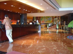 天津万丽泰达酒店 (1)