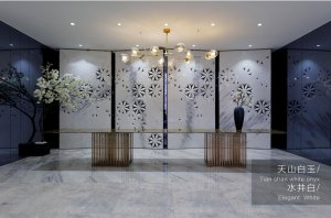 蓝天白玉屏风 水井白地面